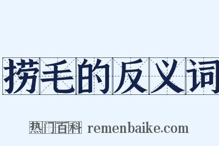 捞毛的反义词是什么意思的图片